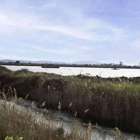 Les Palmiers By Interhome Hyères