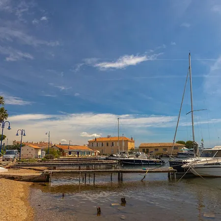 Les Palmiers By Interhome Hyères