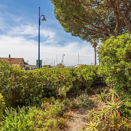 Les Palmiers By Interhome 히에레