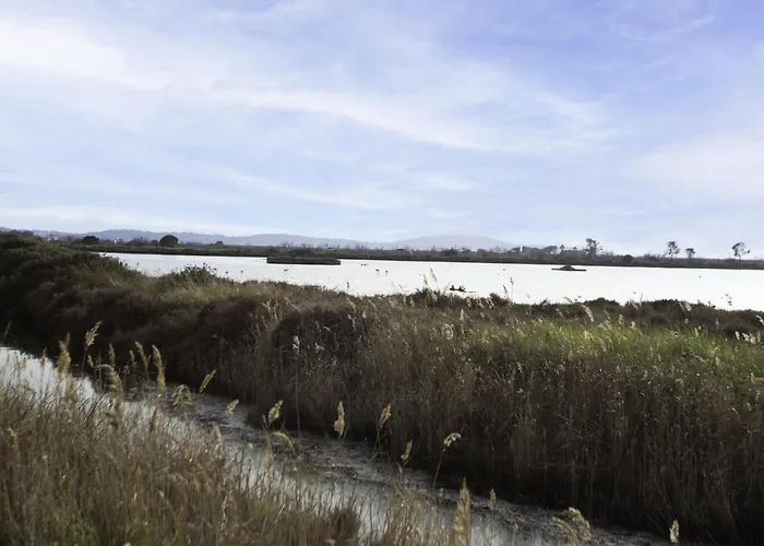 Les Palmiers By Interhome 히에레