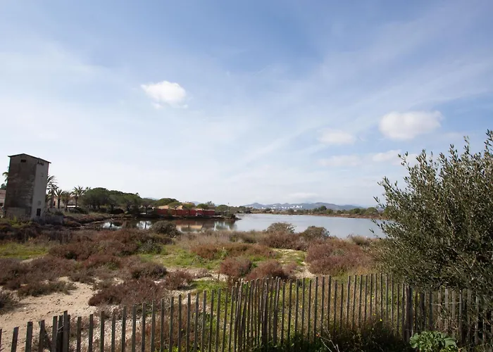 Les Palmiers By Interhome Apartment Hyeres