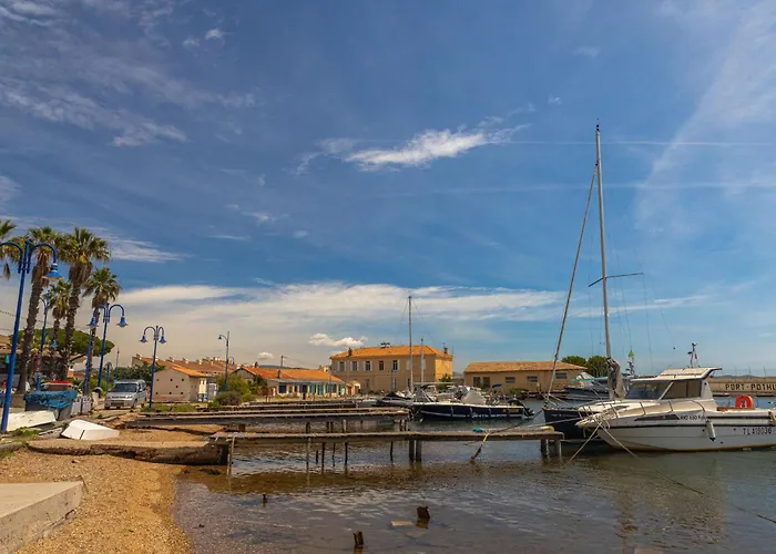 Les Palmiers By Interhome Hyeres