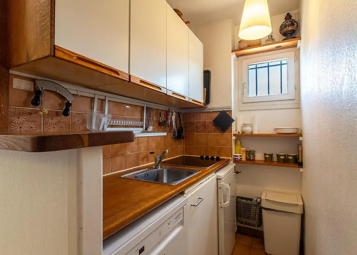 Les Palmiers By Interhome * Hyeres