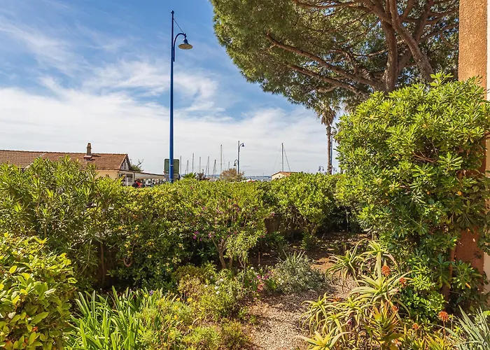 Les Palmiers By Interhome Hyeres