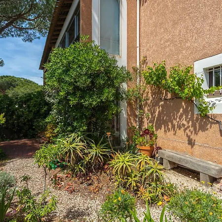 Apartment Les Palmiers By Interhome *